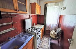 Apartament 2 camere, 51 mp, balcon, Calea Romanilor. Negociabil