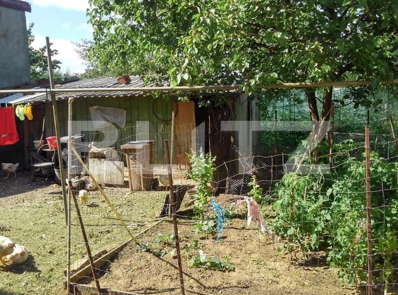 Casa de vânzare 4 camere Poltur - 95498CV | BLITZ Arad | Poza16