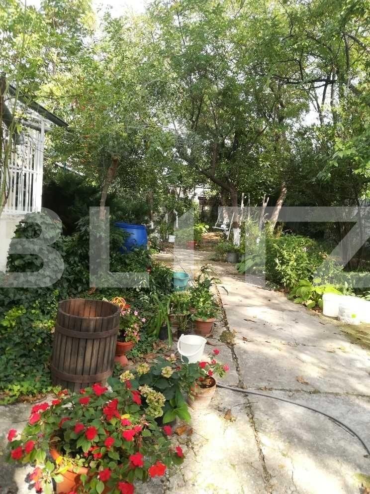 Casa de vânzare 4 camere Sega - 95550CV | BLITZ Arad | Poza7