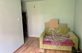 Oportunitate! Garsoniera de 27mp, etaj intermediar, zona Micalaca