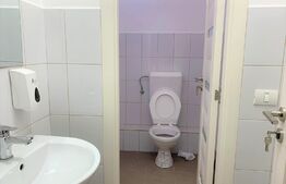 Spatiu comercial avantajos, 308 mp, trifazic, Piata UTA