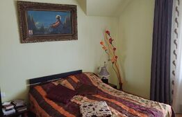 Vila superba P+1E, 300 mp, teren 981 mp, Vladimirescu