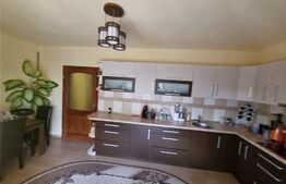 Vila superba P+1E, 300 mp, teren 981 mp, Vladimirescu