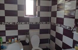 Vila superba P+1E, 300 mp, teren 981 mp, Vladimirescu