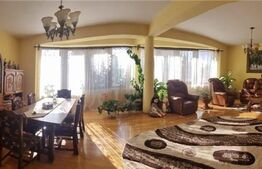 Vila superba P+1E, 300 mp, teren 981 mp, Vladimirescu