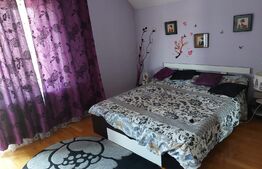 Vila superba P+1E, 300 mp, teren 981 mp, Vladimirescu