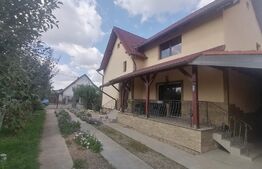 Vila superba P+1E, 300 mp, teren 981 mp, Vladimirescu