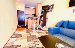 Oportunitate! Apartament de 1 camera recompartimentat in 2 camere, 45 mp, zona Vlaicu