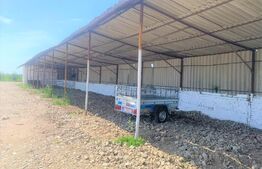 Teren intravilan ingradit, 3869 mp, livada, 2 magazii si birou, sat Horia