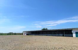 Teren intravilan ingradit, 3869 mp, livada, 2 magazii si birou, sat Horia