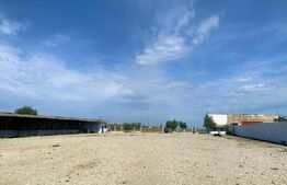 Teren intravilan ingradit, 3869 mp, livada, 2 magazii si birou, sat Horia