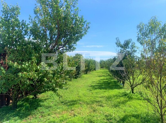 Teren de vânzare Exterior Vest - 96825TV | BLITZ Arad | Poza10