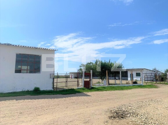 Teren de vânzare Exterior Vest - 96825TV | BLITZ Arad | Poza8