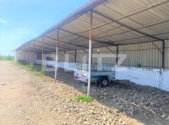 Teren de vânzare Exterior Vest - 96825TV | BLITZ Arad | Poza3