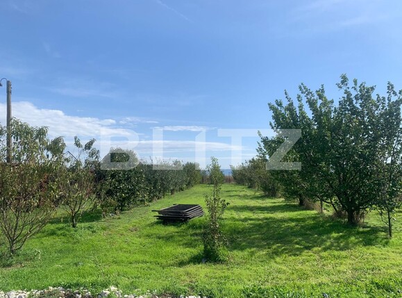 Teren de vânzare Exterior Vest - 96825TV | BLITZ Arad | Poza9