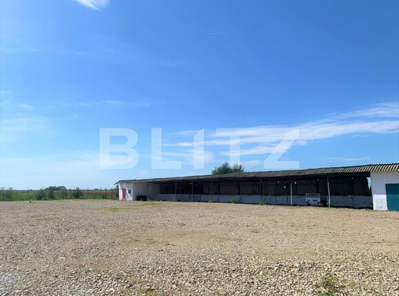 Teren de vânzare Exterior Vest - 96825TV | BLITZ Arad | Poza11