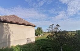 Casa 100 mp utili, teren 4320 mp, front stradal 40,5 ml, Covăsanț