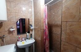 Casa 100 mp utili, teren 4320 mp, front stradal 40,5 ml, Covăsanț