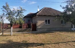 Casa 100 mp utili, teren 4320 mp, front stradal 40,5 ml, Covăsanț