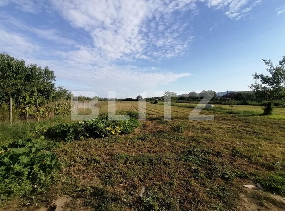 Casa de vânzare 4 camere Exterior Est - 96840CV | BLITZ Arad | Poza13