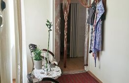 Apartament luminos, 3 camere, 110 mp utili, Zona Centrală 