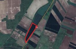 Teren extravilan 3.3 ha, front stradal 365 ml la DN 79, Arad-Oradea