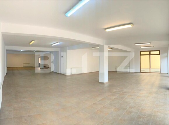 Spațiu comercial de închiriat Intim - 98518SIC | BLITZ Arad | Poza2