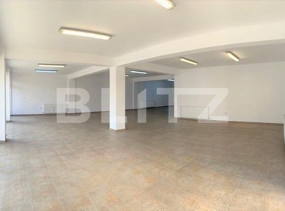 Spațiu comercial de închiriat Intim - 98518SIC | BLITZ Arad | Poza1