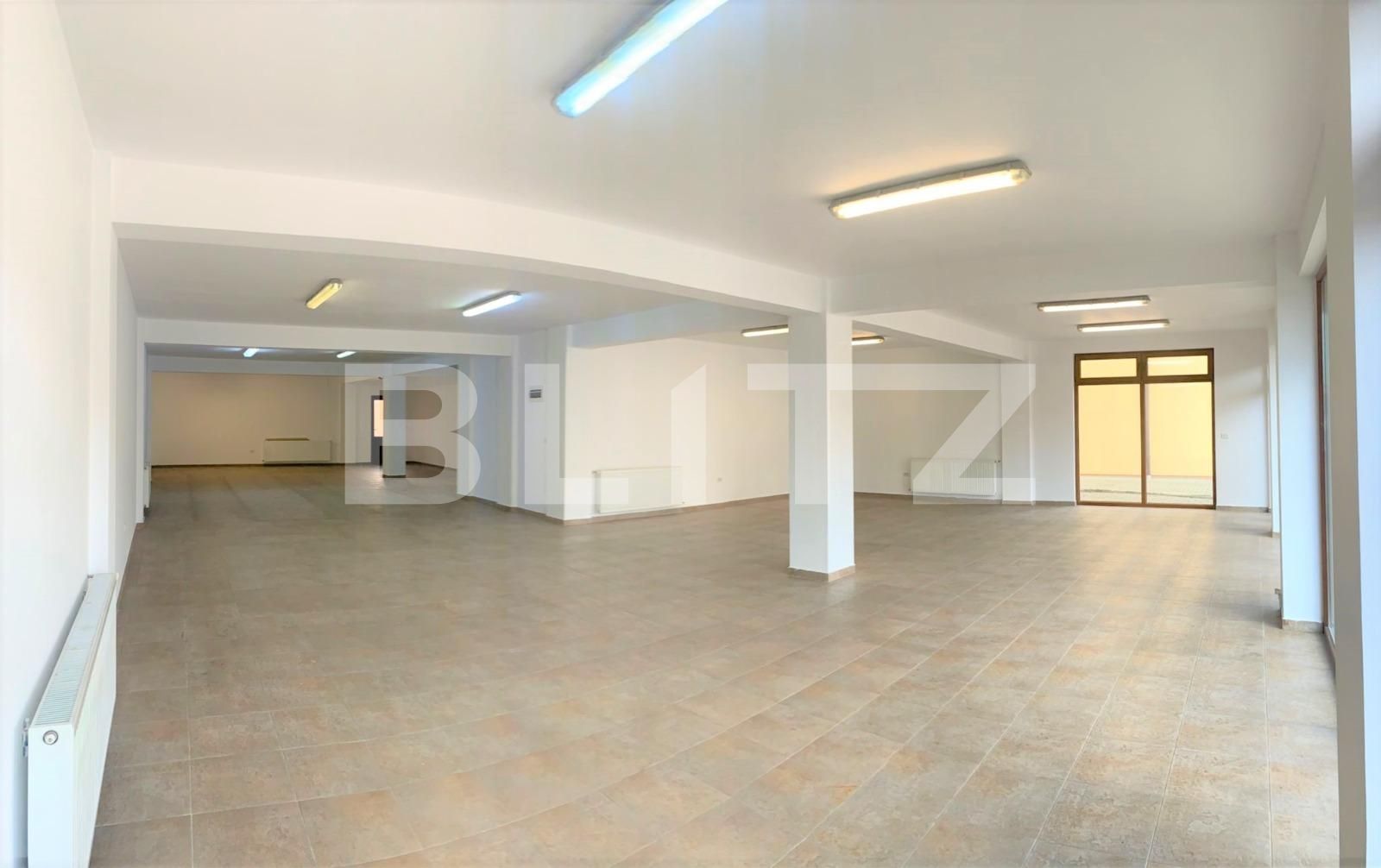 Spațiu comercial de închiriat Intim - 98518SIC | BLITZ Arad | Poza2