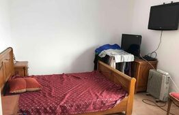 Casa 5 camere, teren de 11000mp, Chisineu Cris