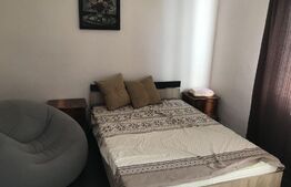 Casa 5 camere, teren de 11000mp, Chisineu Cris