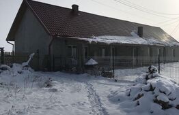 Casa 5 camere, teren de 11000mp, Chisineu Cris