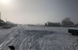 Casa 5 camere, teren de 11000mp, Chisineu Cris