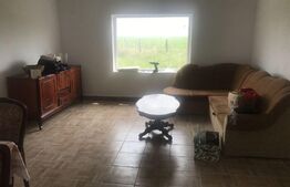 Casa 5 camere, teren de 11000mp, Chisineu Cris