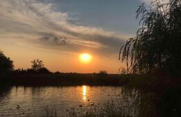 Casa 5 camere, teren de 11000mp, Chisineu Cris