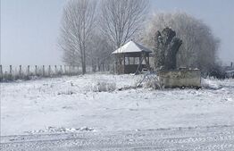 Casa 5 camere, teren de 11000mp, Chisineu Cris