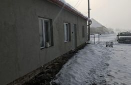 Casa 5 camere, teren de 11000mp, Chisineu Cris