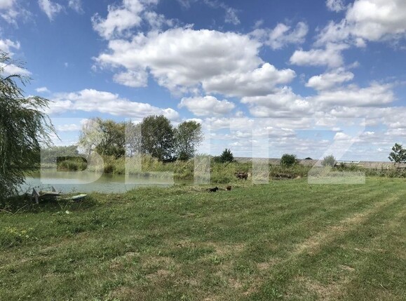 Casa de vânzare 5 camere Exterior Nord - 98761CV | BLITZ Arad | Poza6