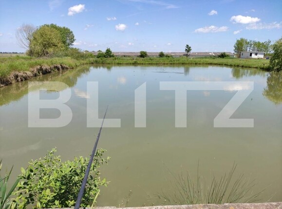 Casa de vânzare 5 camere Exterior Nord - 98761CV | BLITZ Arad | Poza8