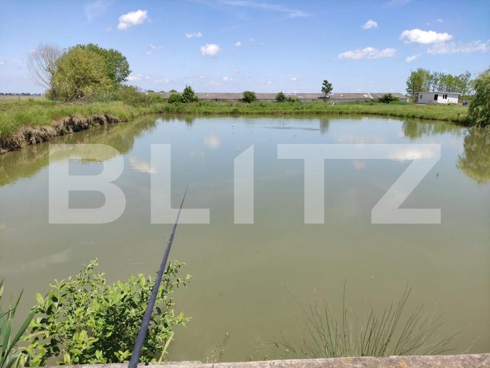 Casa de vânzare 5 camere Exterior Nord - 98761CV | BLITZ Arad | Poza8