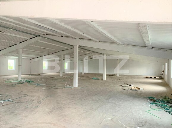 Spațiu industrial de închiriat Nord-Vest - 99275SII | BLITZ Arad | Poza1