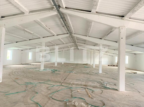 Spațiu industrial de închiriat Nord-Vest - 99275SII | BLITZ Arad | Poza2