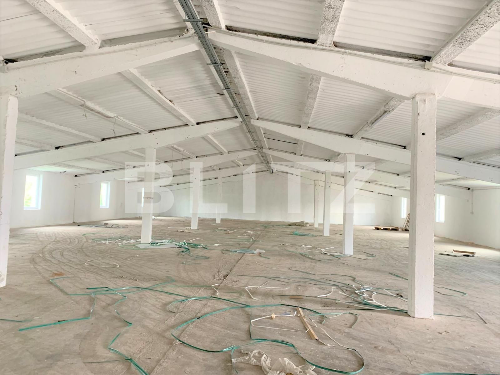 Spațiu industrial de închiriat Nord-Vest - 99275SII | BLITZ Arad | Poza2
