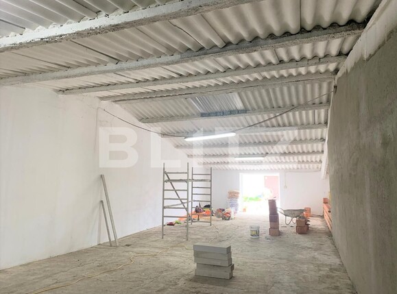Spațiu industrial de închiriat Nord-Vest - 99336SII | BLITZ Arad | Poza1