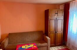 Garsoniera Confort 2, 24 mp, etaj intermediar, pe 6 Vanatori