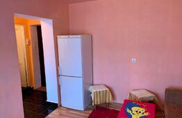 Garsoniera Confort 2, 24 mp, etaj intermediar, pe 6 Vanatori