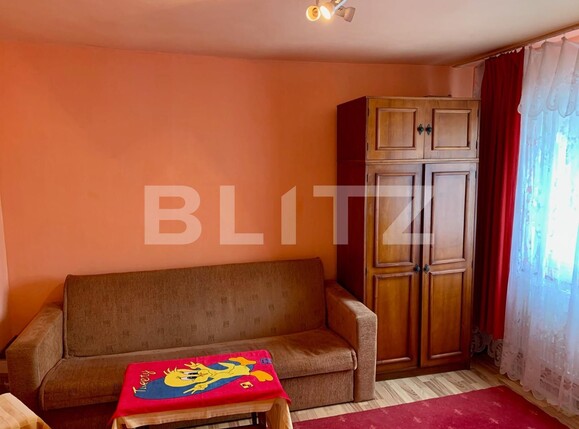 Garsonieră de vânzare 6 Vanatori - 99352AV | BLITZ Arad | Poza4
