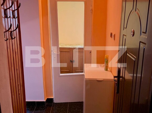 Garsonieră de vânzare 6 Vanatori - 99352AV | BLITZ Arad | Poza2