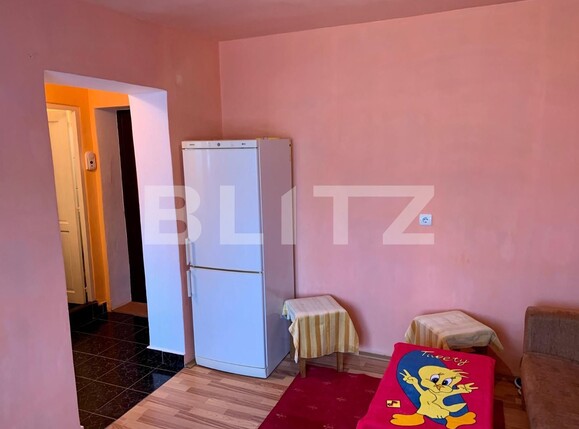 Garsonieră de vânzare 6 Vanatori - 99352AV | BLITZ Arad | Poza6