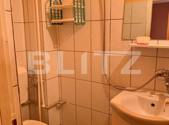 Garsonieră de vânzare 6 Vanatori - 99352AV | BLITZ Arad | Poza10